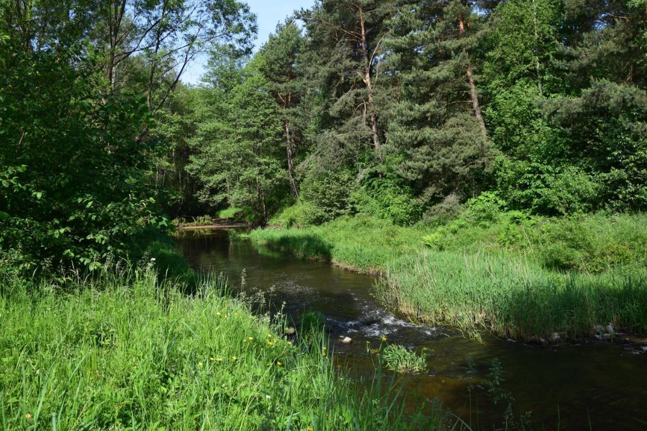 Stary Janow - Pensjonat Staporkow Екстер'єр фото